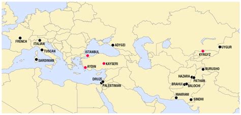 Turkish population structure and genetic ancestry reveal.